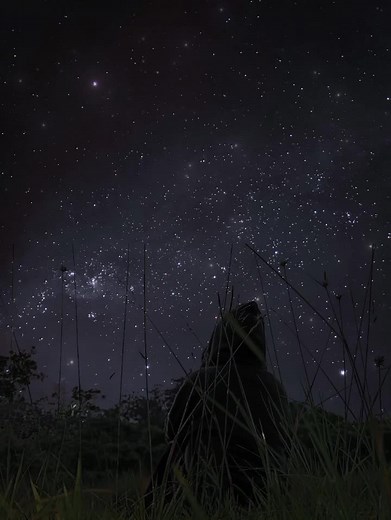 The Stars Listened Quietly — Night Sky Stargazing Aesthetic
