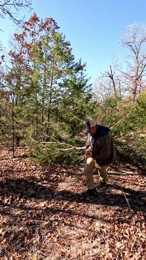 Christmas tree #funny #comedyvideo #jokes