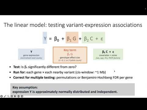 Molecular QTL mapping: The statistical foundations