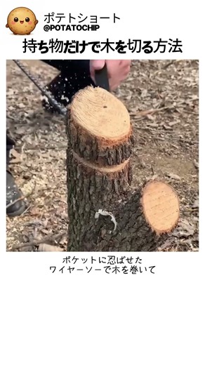 持ち物だけで木を切る方法