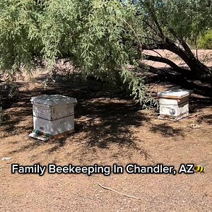 Real Honey Made From Real Bees🐝 Never Heated Or Filtered. 100% Raw, Unfiltered & Unpasteurized Grab Yours Today and Get 10% Off | Arizona Local Raw Honey
