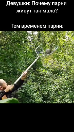 Еда для выживания с дикими осами