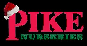 Lesson Plan: Butterflies