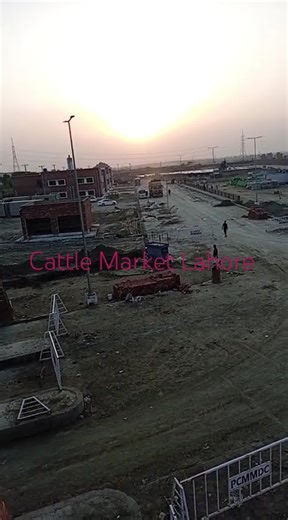 Project View Development project #development #mepengineering #construction