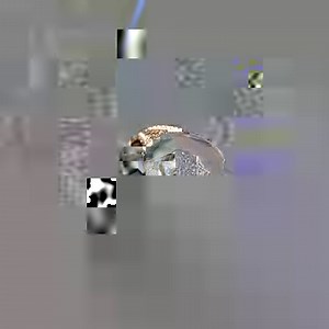 74K views · 2K reactions | Brilliance with the latest collection from Kenoz. إقتني الذهب  "Own the gold" 21k gold l 21.40 gm Kenoz by Egypt gold | New Egypt Gold | Facebook