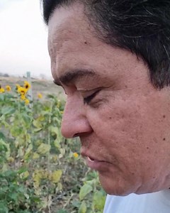 20K views · 2.3K reactions | El girasol (extracto de la semilla) ha...