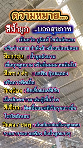 หัวใจสีน้ำ น้ำเงิน on Instagram: "ความหมาย สีน้ำมูก 📌 บอกสุขภาพ #สุขภาพดีจากภายใน #ร่างกายอ่อนแอ #เตือนภัย #สาระน่ารู้ #คลิปReelsสร้างกระแส"