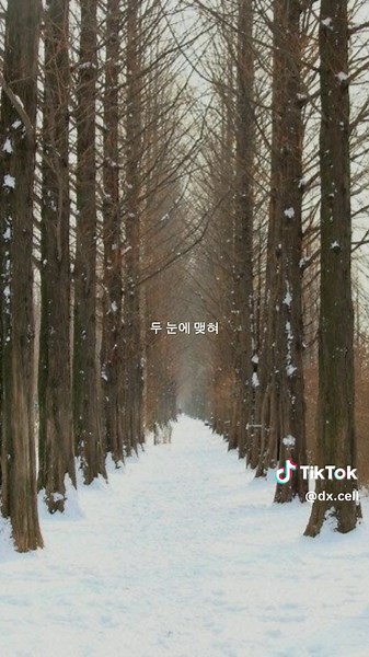 The Heirs K-Drama OST Lyrics Video