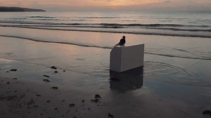 Ylang Ylang EP OUT EVERYWHERE Made these songs last year in this room called Ylang Ylang. I wasn’t planning on releasing them. Im not sure why anymore. A lot of personnal stuff in there. But hey here they are https://ffm.to/ylangylang | FKJ