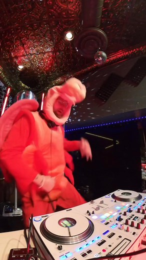 Rock Your Body, Slow Motion, Burnin’ Up #mashup #djmix #dj #livemix #djset | DJ Hampster Dance