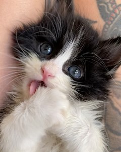 849K views · 76K reactions | The cuteness levels are OFF THE CHARTS...