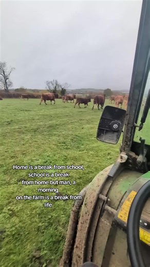 mia merriman (@mia.merriman)’s videos with original sound - mia merriman