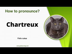 How to pronounce Chartreux in English Correctly