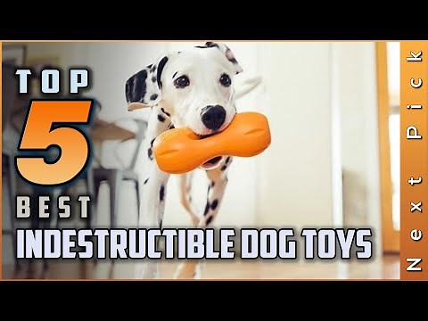 Best Indestructible Dog Toys Review | Top 5 Picks for Your Budget