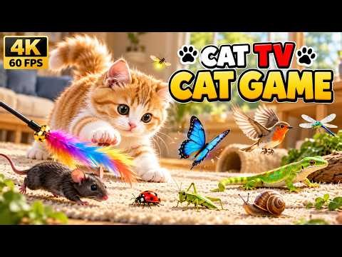 CAT GAMES | Videos for Cats to Watch – Black Mice, Butterflies & Birds | 4K 60FPS