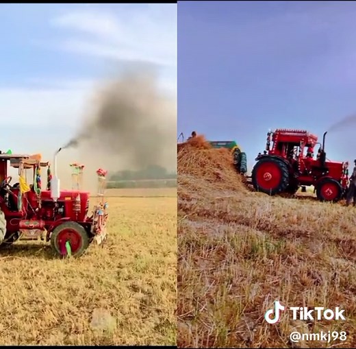 #asmreating #asmrsounds #as #astrology #as