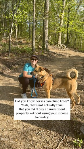 Fun fact: There are some types of Foxes who can climb trees | Reanna McGovern (Walls)