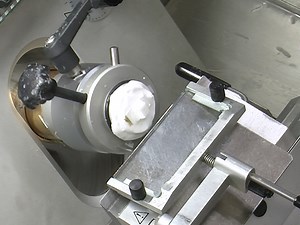 The Mouse Hindbrain As a Model for Studying Embryonic Neurogenesis