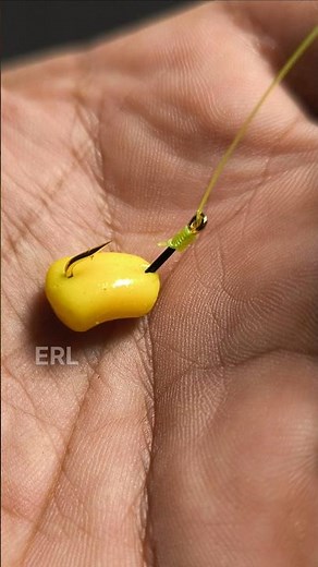 Titorial How To Install Fishing Bait To a Hook #shorts #fishing #tutorial