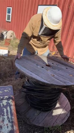 Need some electrical wire? Yes, but there are bees! #bees #removal #sanangelo #winter #beekeeper #agriculture #smallbusiness | Saint Abigail Honey