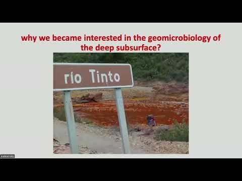 Biogeochemical cycles operating in the deep subsurface of the Iberian Pyrite Belt