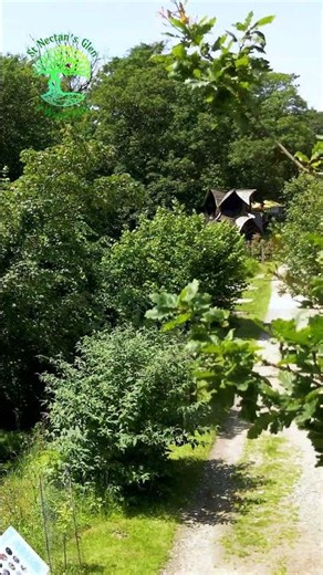 Down From the Trees | A Peaceful Journey down to St Nectan’s Glen