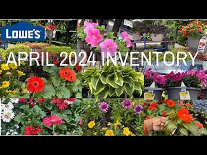 🌺 NEW ARRIVALS! LOWE'S GARDEN CENTER APRIL 2024 INVENTORY ANNUALS PERENNIALS EVERGREENS #LOWES