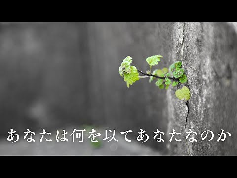 コナトゥス【エチカ#7】