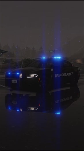 Slow & Simple #fivem #gtarp #sabu #sareborn #police