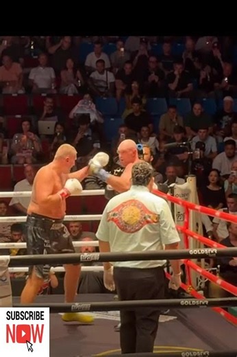 Tyson Fury Knock Out Mariusz Wach In 7th Round