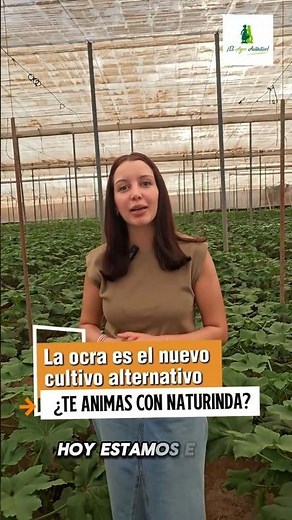 La ocra es el nuevo cultivo alternativo, ¿te animas con Naturinda?
