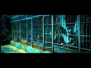 Rise of the Planet of the Apes | The Awakening | Clip