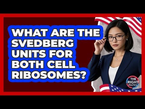 What Are The Svedberg Units For Both Cell Ribosomes?