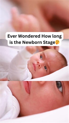 🌟 Newborn 101: The Clinical Newborn Stage 🌟 Did you know? The clinical newborn stage lasts from birth to 28 days — that’s the first 4 weeks of your baby’s life! 🍼💖 This is a super important time when your little one is adjusting to life outside the womb 🌎✨. During these weeks, your baby learns to: • Breathe on their own 🌬️ • Maintain body temperature 🌡️ • Feed effectively 🥛 • Build early immunity 🛡️ Every tiny moment counts — cuddle, observe, and enjoy this magical first month! 💕 #Newb