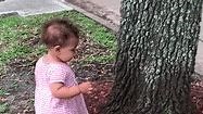 Toddler Wins Hearts With Adorable Habit of Hugging Trees
