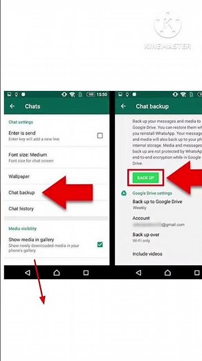Whatsapp Unable to open pdf File 2025 | pdf ont Opening in mobile