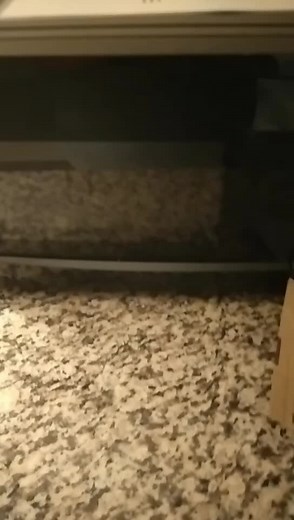 christie Strang (@christiestrang86)’s videos with original sound - Georgia Presland