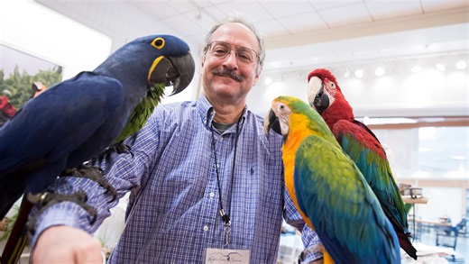 Exotic birds find refuge at Ruffled Feathers in the North Hanover Mall