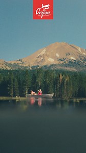 Help your dog thrive on every adventure with food packed with nutrient-dense WholePrey animal ingredients, and no fillers. | Petco