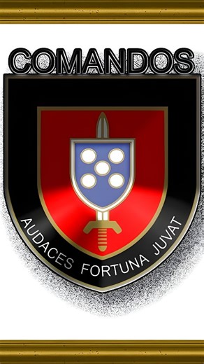 Francisco Dias on Instagram: "TÁ COM MEDO, VAI COM MEDO MESMO. 👇 Teria coragem de passar por esse treinamento? 💀 Registros históricos de uma das etapas do Curso de Comandos de Portugal. 🔥 Foram criados em Angola em 1962, no âmbito da Guerra Ultramarina Portuguesa , como forças de contraguerrilha, patrulha de combate em zonas perigosas e de difícil acesso, guerra irregular, penetração a longa distância e reconhecimento especial, respondendo assim à necessidade do Exército Português de dispor d