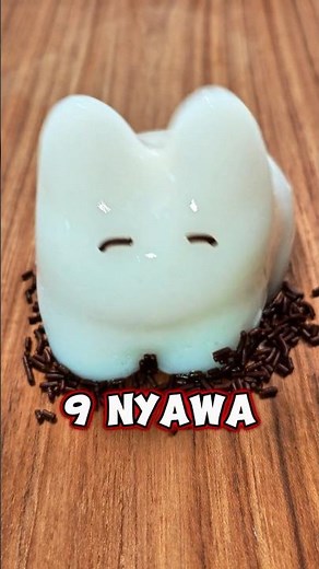 9 LIFE OF A CAT PUDDING!