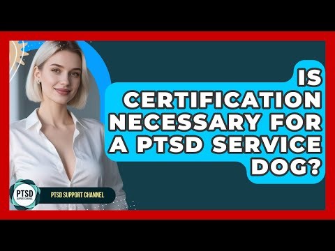 Is Certification Necessary For A PTSD Service Dog? - PTSD Support Channel