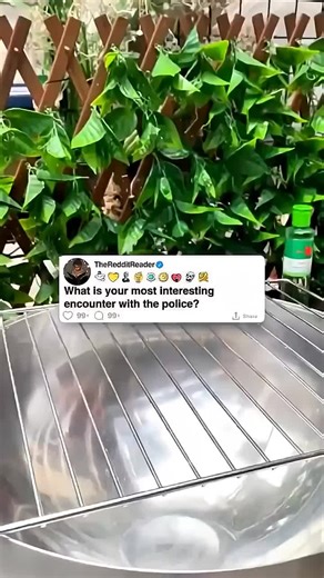 Interesting Police Encounters Shared on Reddit