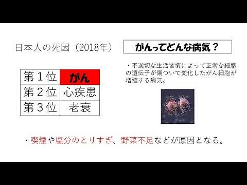 Health and Physical Education for 2nd Year Junior High School Students: Lifestyle-related Disease...