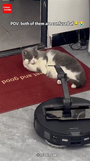 This is the Roborock G30, a new-gen robot vacuum that goes beyond sweeping and mopping 🤖🧹 It uses AI vision to recognize objects on the floor and even extends a robotic arm to pick up small items like tissues automatically. In theory, it’s built for a cleaner, more hands-free home 🧠✨ In reality, it still has to negotiate with… cats 🐱😂 . . . #ChinaInsider #Roborock #SmartHome #RobotVacuum #CatsAndAI | China Insider