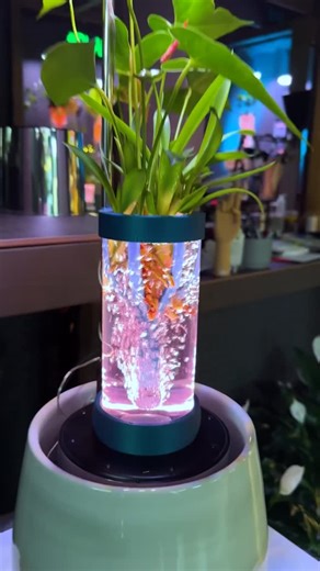 Randy Richmond on Instagram: "No dirt and you will Squirt! This little guy is special! Gro Living Art Plantdaddy.pro Plant care Plant Daddy Orlando. Plants for sale. Hydroponic growing system. Hydroponic gardening. Plants indoors. Plant Display Ideas. DIY Aeroponic. Plant accessories. Robert plant. #plantdaddy #hydroplants #houseplants #plantshop #plantsofinstagram"