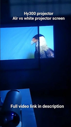 Hy300 || Alr vs white projector screen comparison || #shorts