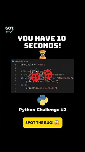 Spot the Error: Python Challenge #2