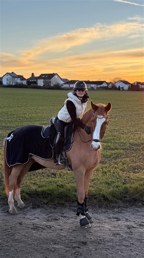 Joan Fabienne Weske-Haas on Instagram: "🐎 Aufregung auf dem Turnier? Besonders vor der Prüfung Was wirklich helfen kann: ✨ Ein Mensch an eurer Seite, der Ruhe ausstrahlt 🕰️ Ein klarer Zeitplan, nicht zu eng, nicht zu locker 🎒 Alle Sachen ordentlich vorbereiten und zuordnen ❗️Vergessen kann man immer etwas, aber hier ein kleiner Trick: 👉 Nehmt euch zu ein Schaukelpferd🐴 und macht es prüfungsbereit, genauso wie euch selbst. So merkt ihr schnell, ob vielleicht der Sattelgurt fehlt oder etwas a