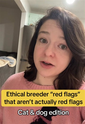 There’s quite a few common misconceptions when it comes to ethical breeding. Several of these “red flags” I also assumed to be true at one point, but I’ve since learned a lot from my ethical breeding friends! Of course, some of these can be quite nuanced… but I wanted to at least put it out there that not ALL of these things are inherently bad (and in some cases it’s the opposite). Are there any that I missed? 😁 Clarification: 2) Obviously I’m referring to breeders who own multiple dams/queens…
